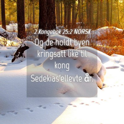 Picture 04 - 2 Kongebok 25:2 NORSK - Og de holdt byen kringsatt like til kong - Bible Verse Picture