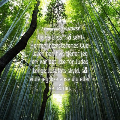 Picture 04 - 2 Kongebok 3:14 NORSK - Da sa Elisa: Så sant Herren, hærskarenes Gud, - Bible Verse Picture