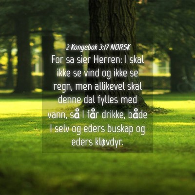 Picture 04 - 2 Kongebok 3:17 NORSK - For sa sier Herren: I skal ikke se vind og ikke - Bible Verse Picture