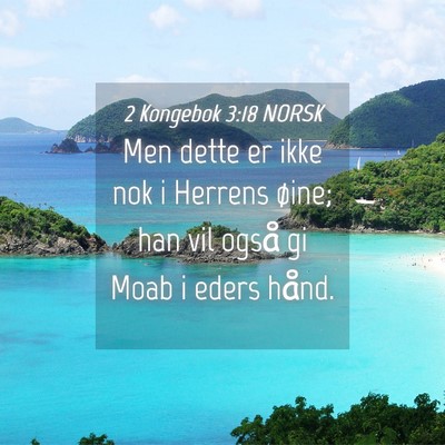 Picture 04 - 2 Kongebok 3:18 NORSK - Men dette er ikke nok i Herrens øine; han vil - Bible Verse Picture