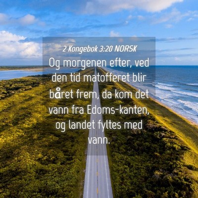 Picture 04 - 2 Kongebok 3:20 NORSK - Og morgenen efter, ved den tid matofferet blir - Bible Verse Picture