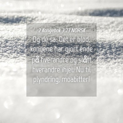 Picture 04 - 2 Kongebok 3:23 NORSK - Og de sa: Det er blod; kongene har gjort ende på - Bible Verse Picture