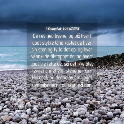 Picture 04 - 2 Kongebok 3:25 NORSK - De rev ned byene, og på hvert godt stykke land - Bible Verse Picture