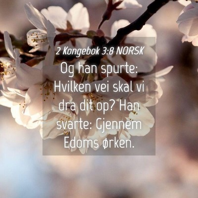 Picture 04 - 2 Kongebok 3:8 NORSK - Og han spurte: Hvilken vei skal vi dra dit op? - Bible Verse Picture