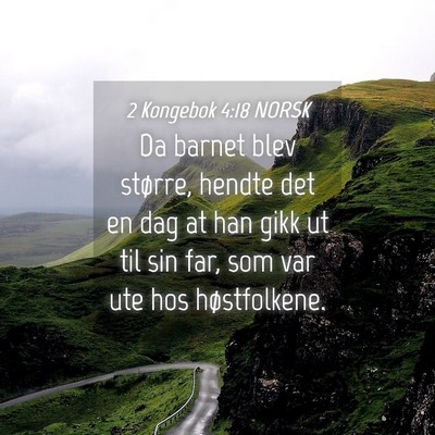 Picture 04 - 2 Kongebok 4:18 NORSK - Da barnet blev større, hendte det en dag at han - Bible Verse Picture