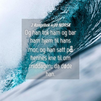 Picture 04 - 2 Kongebok 4:20 NORSK - Og han tok ham og bar ham hjem til hans mor, og - Bible Verse Picture