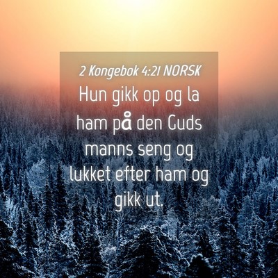 Picture 04 - 2 Kongebok 4:21 NORSK - Hun gikk op og la ham på den Guds manns seng og - Bible Verse Picture