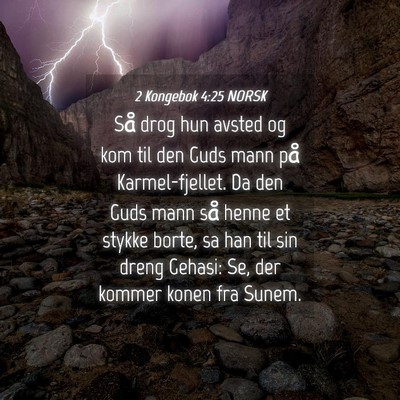 Picture 04 - 2 Kongebok 4:25 NORSK - Så drog hun avsted og kom til den Guds mann på - Bible Verse Picture