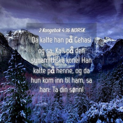 Picture 04 - 2 Kongebok 4:36 NORSK - Da kalte han på Gehasi og sa: Kall på den - Bible Verse Picture
