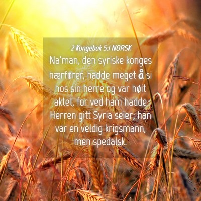 Picture 04 - 2 Kongebok 5:1 NORSK - Na'man, den syriske konges hærfører, hadde - Bible Verse Picture
