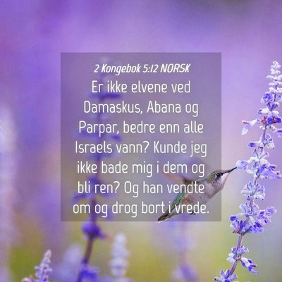 Picture 04 - 2 Kongebok 5:12 NORSK - Er ikke elvene ved Damaskus, Abana og Parpar, - Bible Verse Picture