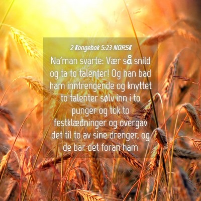 Picture 04 - 2 Kongebok 5:23 NORSK - Na'man svarte: Vær så snild og ta to talenter! - Bible Verse Picture