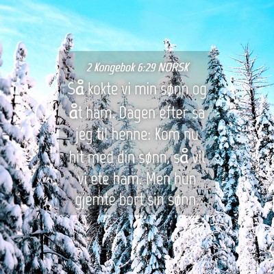 Picture 04 - 2 Kongebok 6:29 NORSK - Så kokte vi min sønn og åt ham. Dagen efter sa - Bible Verse Picture