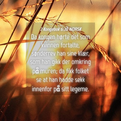 Picture 04 - 2 Kongebok 6:30 NORSK - Da kongen hørte det som kvinnen fortalte, - Bible Verse Picture
