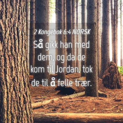 Picture 04 - 2 Kongebok 6:4 NORSK - Så gikk han med dem, og da de kom til Jordan, - Bible Verse Picture