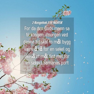 Picture 04 - 2 Kongebok 7:18 NORSK - For da den Guds mann sa til kongen: Imorgen ved - Bible Verse Picture