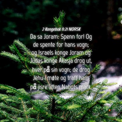 Picture 04 - 2 Kongebok 9:21 NORSK - Da sa Joram: Spenn for! Og de spente for hans - Bible Verse Picture