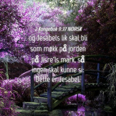 Picture 04 - 2 Kongebok 9:37 NORSK - og Jesabels lik skal bli som møkk på jorden på - Bible Verse Picture