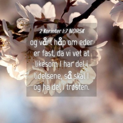 Picture 04 - 2 Korinter 1:7 NORSK - og vårt håp om eder er fast, da vi vet at - Bible Verse Picture