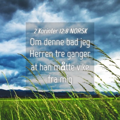 Picture 04 - 2 Korinter 12:8 NORSK - Om denne bad jeg Herren tre ganger at han måtte - Bible Verse Picture