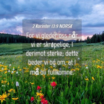 Picture 04 - 2 Korinter 13:9 NORSK - For vi gleder oss når vi er skrøpelige, I - Bible Verse Picture
