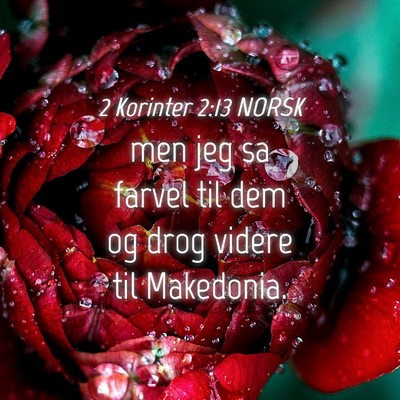 Picture 04 - 2 Korinter 2:13 NORSK - men jeg sa farvel til dem og drog videre til - Bible Verse Picture