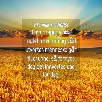 Picture 04 - 2 Korinter 4:16 NORSK - Derfor taper vi ikke motet, men om og vårt - Bible Verse Picture
