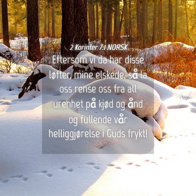 Picture 04 - 2 Korinter 7:1 NORSK - Eftersom vi da har disse løfter, mine elskede, - Bible Verse Picture