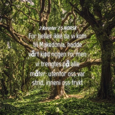 Picture 04 - 2 Korinter 7:5 NORSK - For heller ikke da vi kom til Makedonia, hadde - Bible Verse Picture
