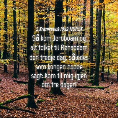 Picture 04 - 2 Krønikebok 10:12 NORSK - Så kom Jeroboam og alt folket til Rehabeam den - Bible Verse Picture