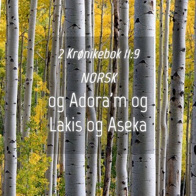 Picture 04 - 2 Krønikebok 11:9 NORSK - og Adora'm og Lakis og - Bible Verse Picture