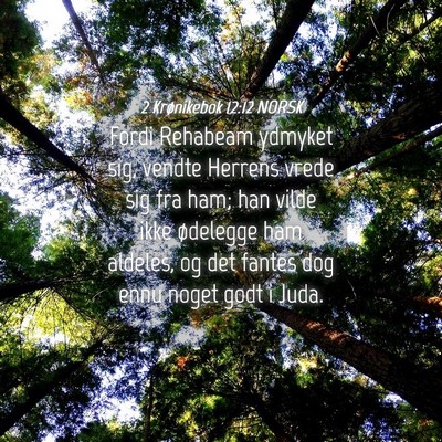 Picture 04 - 2 Krønikebok 12:12 NORSK - Fordi Rehabeam ydmyket sig, vendte Herrens vrede - Bible Verse Picture