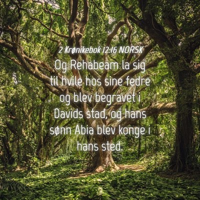 Picture 04 - 2 Krønikebok 12:16 NORSK - Og Rehabeam la sig til hvile hos sine fedre og - Bible Verse Picture