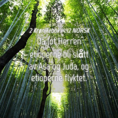 Picture 04 - 2 Krønikebok 14:12 NORSK - Da lot Herren etioperne bli slått av Asa og - Bible Verse Picture