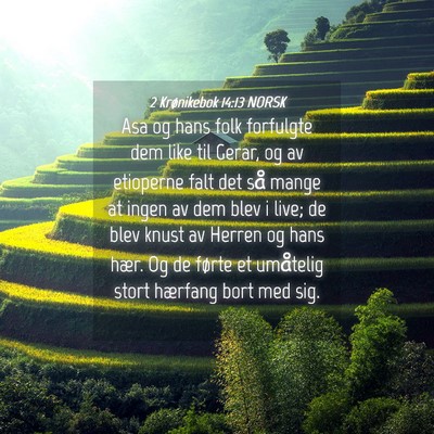 Picture 04 - 2 Krønikebok 14:13 NORSK - Asa og hans folk forfulgte dem like til Gerar, og - Bible Verse Picture