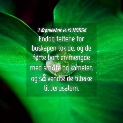 Picture 04 - 2 Krønikebok 14:15 NORSK - Endog teltene for buskapen tok de, og de førte - Bible Verse Picture