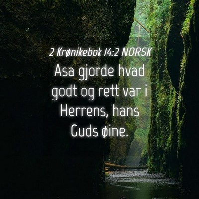 Picture 04 - 2 Krønikebok 14:2 NORSK - Asa gjorde hvad godt og rett var i Herrens, hans - Bible Verse Picture