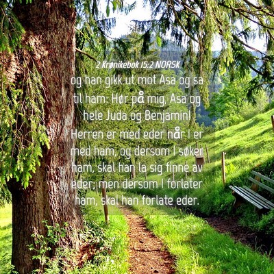 Picture 04 - 2 Krønikebok 15:2 NORSK - og han gikk ut mot Asa og sa til ham: Hør på - Bible Verse Picture