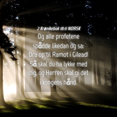 Picture 04 - 2 Krønikebok 18:11 NORSK - Og alle profetene spådde likedan og sa: Dra op - Bible Verse Picture