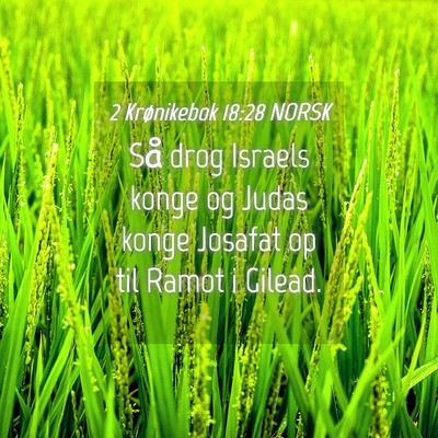 Picture 04 - 2 Krønikebok 18:28 NORSK - Så drog Israels konge og Judas konge Josafat op - Bible Verse Picture