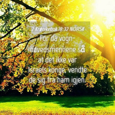 Picture 04 - 2 Krønikebok 18:32 NORSK - For da vogn-høvedsmennene så at det ikke var - Bible Verse Picture