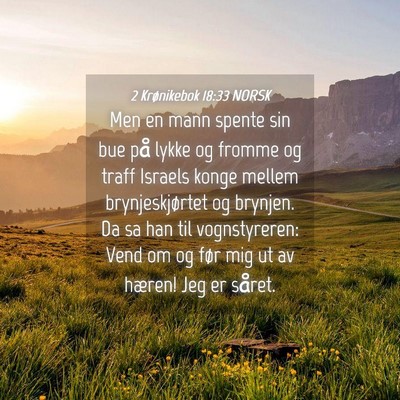 Picture 04 - 2 Krønikebok 18:33 NORSK - Men en mann spente sin bue på lykke og fromme og - Bible Verse Picture