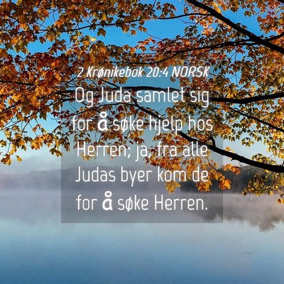 Picture 04 - 2 Krønikebok 20:4 NORSK - Og Juda samlet sig for å søke hjelp hos Herren; - Bible Verse Picture