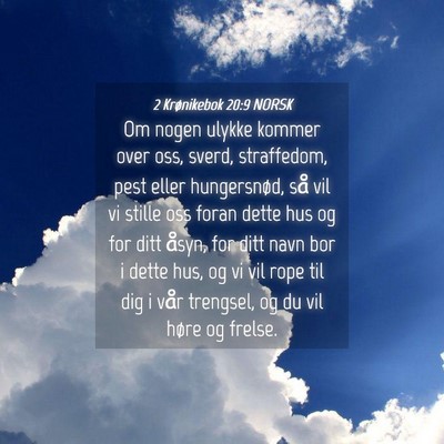 Picture 04 - 2 Krønikebok 20:9 NORSK - Om nogen ulykke kommer over oss, sverd, - Bible Verse Picture