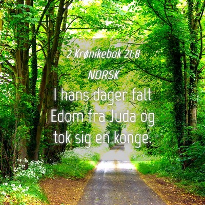 Picture 04 - 2 Krønikebok 21:8 NORSK - I hans dager falt Edom fra Juda og tok sig en - Bible Verse Picture