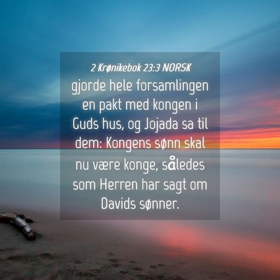 Picture 04 - 2 Krønikebok 23:3 NORSK - gjorde hele forsamlingen en pakt med kongen i - Bible Verse Picture