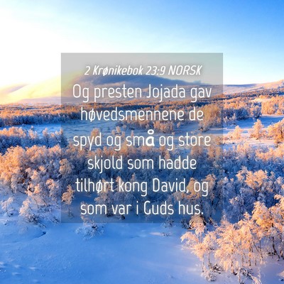 Picture 04 - 2 Krønikebok 23:9 NORSK - Og presten Jojada gav høvedsmennene de spyd og - Bible Verse Picture