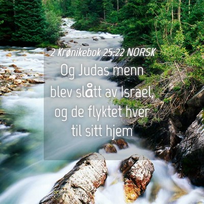 Picture 04 - 2 Krønikebok 25:22 NORSK - Og Judas menn blev slått av Israel, og de - Bible Verse Picture