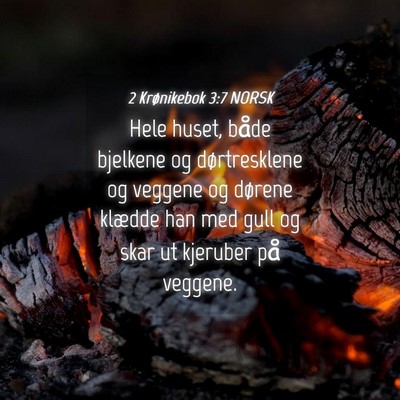 Picture 04 - 2 Krønikebok 3:7 NORSK - Hele huset, både bjelkene og dørtresklene og - Bible Verse Picture