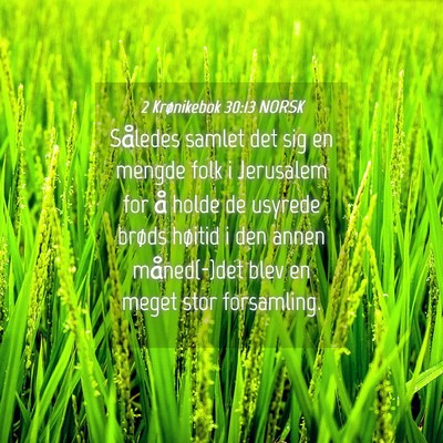 Picture 04 - 2 Krønikebok 30:13 NORSK - Således samlet det sig en mengde folk i - Bible Verse Picture